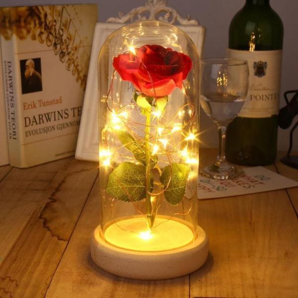 Beauty and Beast Enchanted Rose Lamp - Go Steampunk