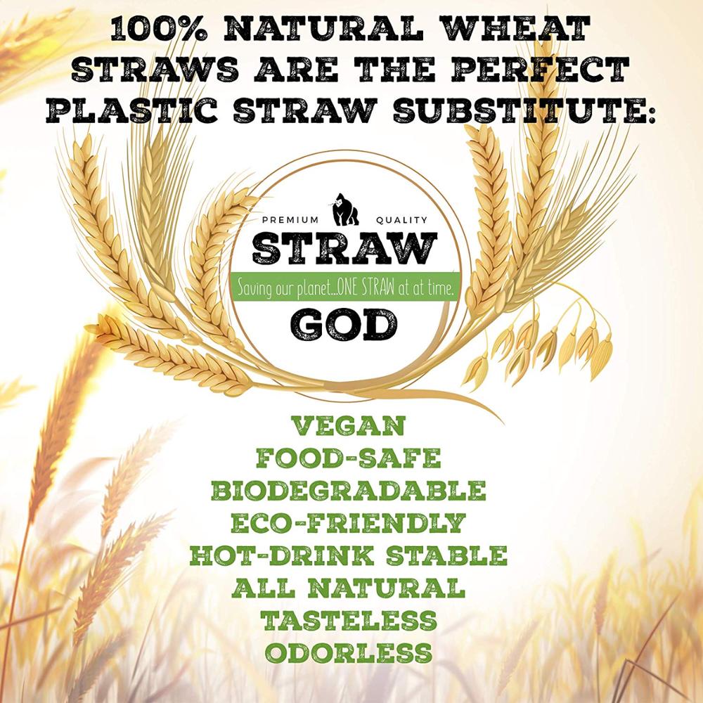 Natural Wheat Straw - Go Steampunk